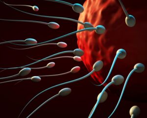 Male Infertility