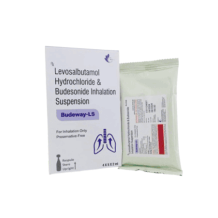 Budeway-LS